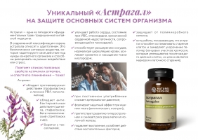 Астрагал, Astragalus, Астрагал нсп, Astragalus nsp, адаптоген астрагал нсп, купить бад астагал, бад астагал доставка, добавка астрагал, Астрагал перепончатый